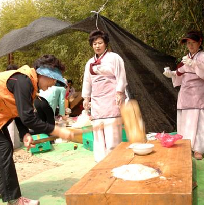 Biseul Mountain Azalea Festival