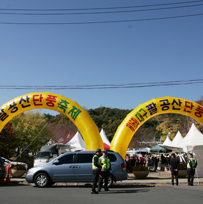 Palgongsan Mountain Maple Festival