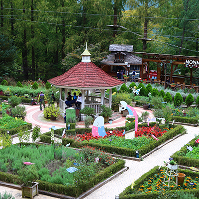 Daegu Forest